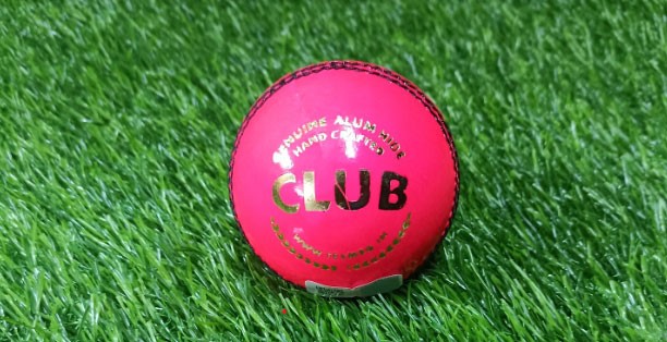 SG Club Pink Cricket Ball